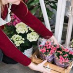 Blühende Pflanzen sicher verschicken – So bleiben Blumen auf dem Versandweg frisch