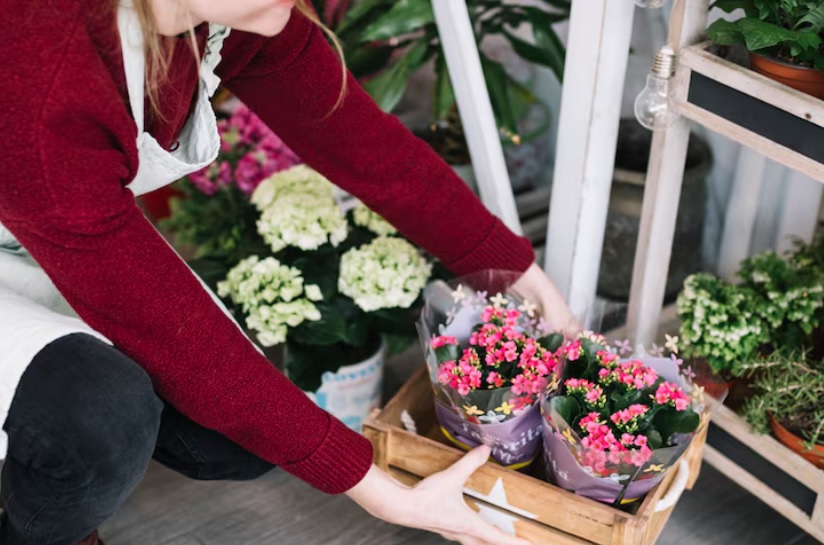 Blühende Pflanzen sicher verschicken – So bleiben Blumen auf dem Versandweg frisch